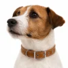 Collar RF-6000-2-Cuero Collar de cuero para perros