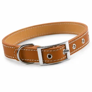 Collar RF-6000-Cuero Collar de cuero para perros