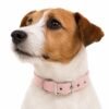 RF-6000-ROSA-2 Collar para Perro de Piel Natural con Hebilla Metálica – Resistente y Elegante (copia)