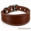 RF-6021-COLLAR-SIN FORRO-MARRON-1 Collar para Galgo Básico sin Forro Interior