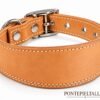 RF-6021-COLLAR-SIN FORRO-NATURAL-1 Collar para Galgo Básico sin Forro Interior