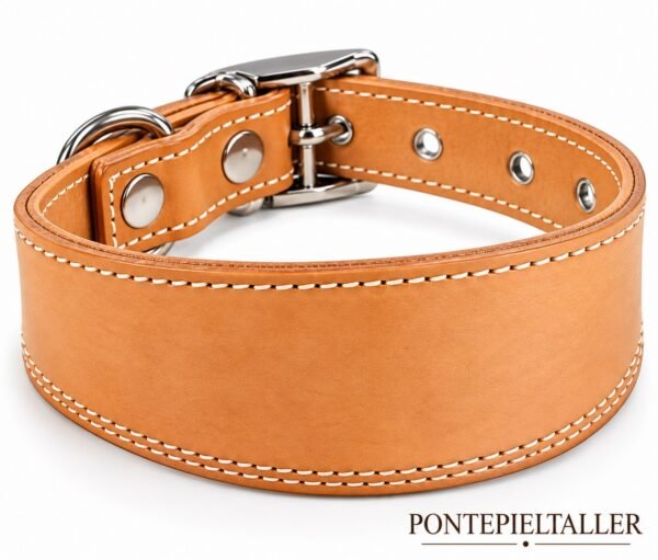 RF-6021-COLLAR-SIN FORRO-NATURAL-1 Collar para Galgo Básico sin Forro Interior