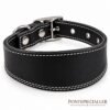 RF-6021-COLLAR-SIN FORRO-NEGRO-1 Collar para Galgo Básico sin Forro Interior