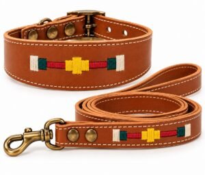 Collar y correa artesanales de cuero RF-60017-cuero Conjunto Collar y Correa para Perro en Cuero Artesanal – Diseño Ecuestre Bordado