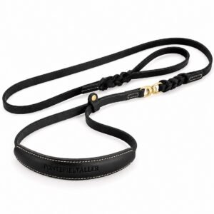 Correa de perro de cuero negro personalizada RF-6015 correa de perro