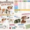 Collar de Cuero Artesanal para Perros con Doble Anilla y Hebilla Dorada | PontepielTaller