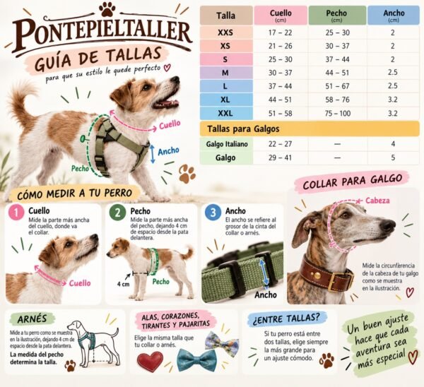 Collar de Cuero Artesanal para Perros con Doble Anilla y Hebilla Dorada | PontepielTaller
