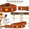 Guía de tallas para collar y correa artesanal rf-6017 Conjunto Collar y Correa para Perro en Cuero Artesanal – Diseño Ecuestre Bordado