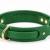 Collar de Cuero Artesanal para Perros con Doble Anilla y Hebilla Dorada | PontepielTaller