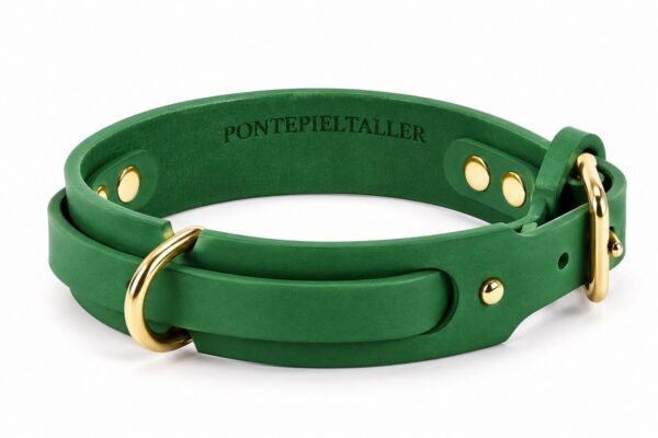 Collar de Cuero Artesanal para Perros con Doble Anilla y Hebilla Dorada | PontepielTaller