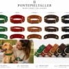 Collar de Cuero Artesanal para Perros con Doble Anilla y Hebilla Dorada | PontepielTaller