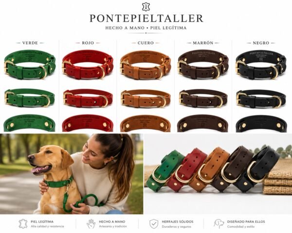 Collar de Cuero Artesanal para Perros con Doble Anilla y Hebilla Dorada | PontepielTaller