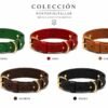 Collar de Cuero Artesanal para Perros con Doble Anilla y Hebilla Dorada | PontepielTaller