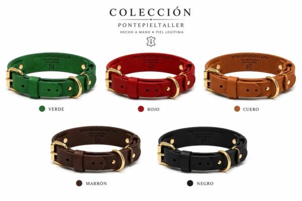 Collar de Cuero Artesanal para Perros con Doble Anilla y Hebilla Dorada | PontepielTaller