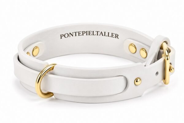 Collar de Cuero Artesanal para Perros con Doble Anilla y Hebilla Dorada | PontepielTaller