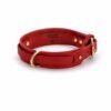 Collar de Cuero Artesanal para Perros con Doble Anilla y Hebilla Dorada | PontepielTaller