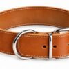 RF-6012-Collar de cuero con hebilla cromada Collar Ancho de Cuero para Perros Grandes 5 cm – Artesanal y Resistente
