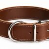 RF-6012-Collar de cuero marrón con herrajes plateados Collar Ancho de Cuero para Perros Grandes 5 cm – Artesanal y Resistente