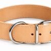 RF-6012-Collar de cuero natural con herrajes plateados Collar Ancho de Cuero para Perros Grandes 5 cm – Artesanal y Resistente
