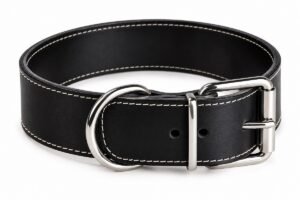 RF-6012-Collar de perro de cuero negro en detalle Collar Ancho de Cuero para Perros Grandes 5 cm – Artesanal y Resistente