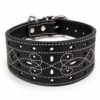 Collar Artesanal de Cuero para Galgo Picado – Modelo Alhambra