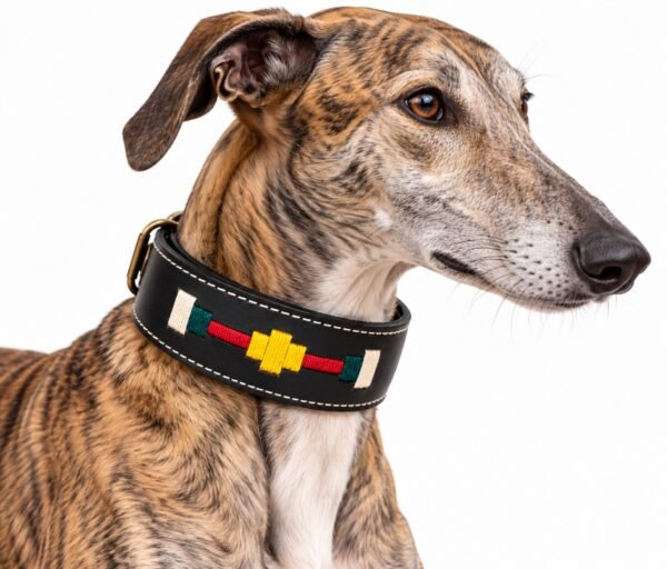 RF-6018-COLLAR-COSIDO ARGENTINO-GALGO-2 Collar para Galgo de Cuero Artesanal Argentino – Herrajes Oro Viejo