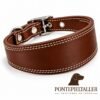 RF-6022-GALGO-LISO-FORRO-MARRON-1 Collar Galguero Ancho de Cuero Artesanal – Hecho a Mano en España