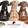 RF-6022-GALGO-TRES PERROS-2 Collar Galguero Ancho de Cuero Artesanal – Hecho a Mano en España