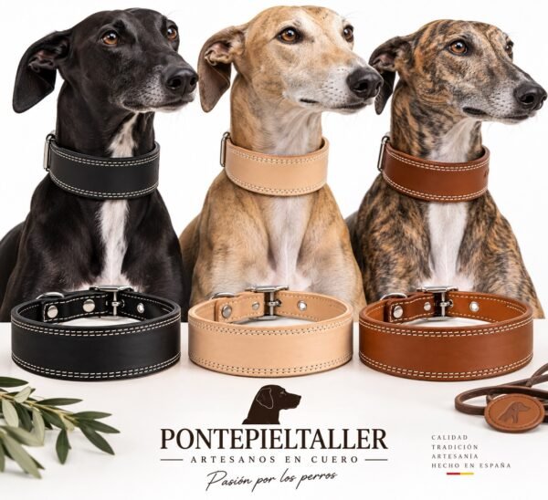 RF-6022-GALGO-TRES PERROS-2 Collar Galguero Ancho de Cuero Artesanal – Hecho a Mano en España