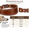 RF-6022-Guía de tallas para collares de cuero Collar Galguero Ancho de Cuero Artesanal – Hecho a Mano en España