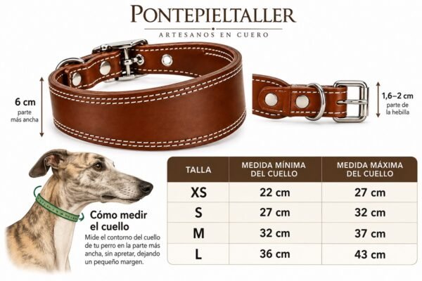 RF-6022-Guía de tallas para collares de cuero Collar Galguero Ancho de Cuero Artesanal – Hecho a Mano en España